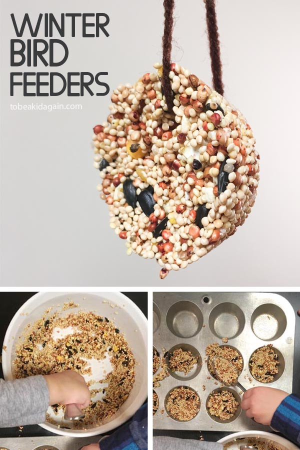 Best ideas about DIY Bird Feeder For Kids
. Save or Pin Making Birdseed Cookies for a DIY Winter Bird Feeder To Now.
