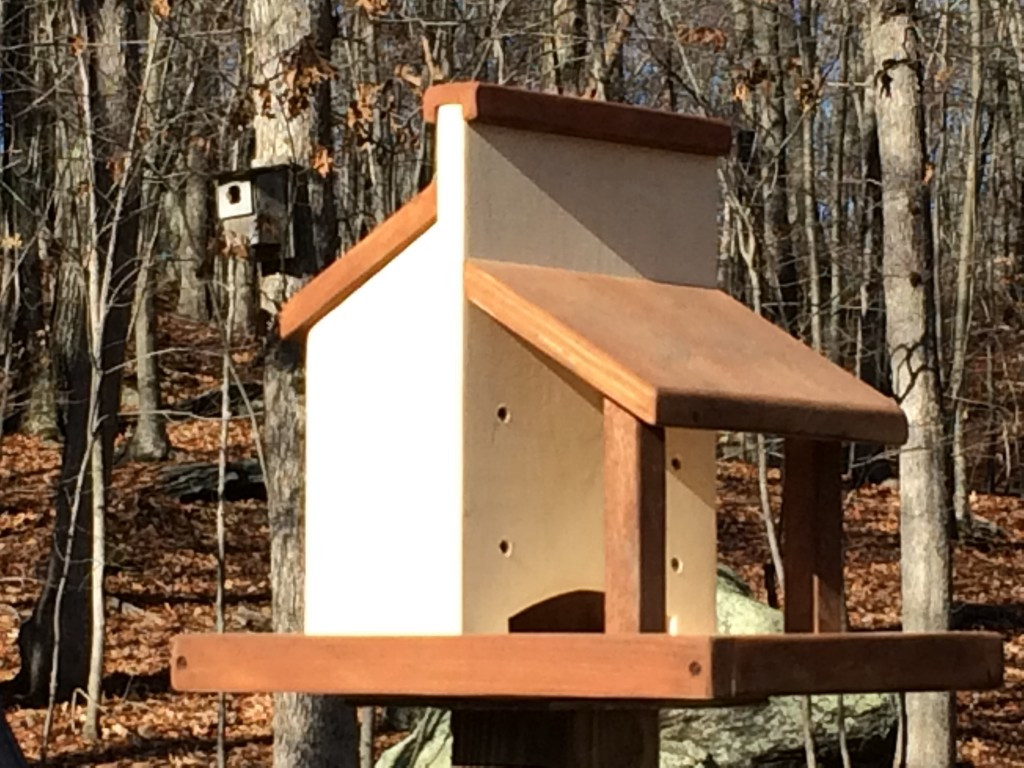 Best ideas about DIY Bird Feeder Plans
. Save or Pin DIY Platform Bird Feeder Plans How to Build a Rustic Now.