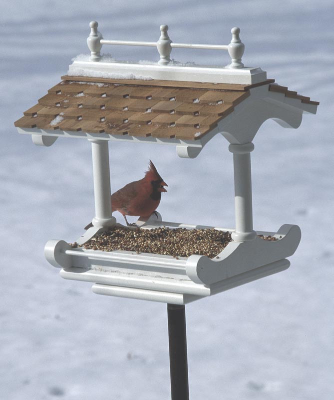 Best ideas about DIY Bird Feeder Plans
. Save or Pin Victorian style birdfeeder Woodworking Plan from WOOD Magazine Now.