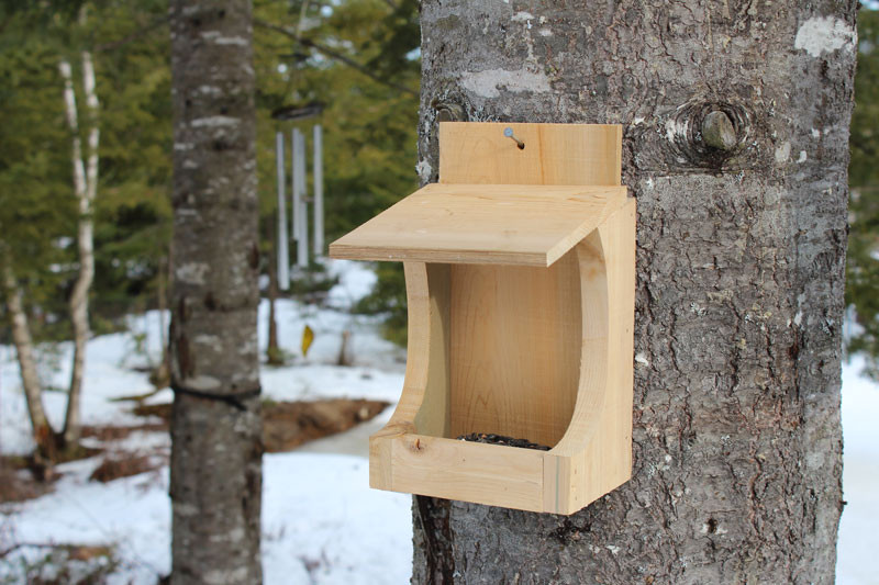 Best ideas about DIY Bird Feeder Plans
. Save or Pin My Dinky Bird Feeder Now.