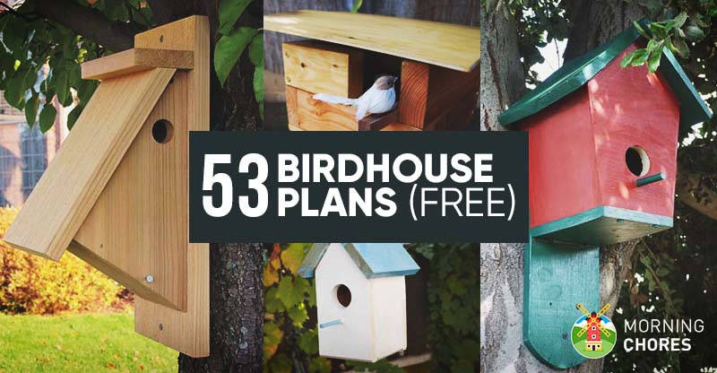 Best ideas about DIY Birdhouse Plans
. Save or Pin 53 DIY Bird House Plans that Will Attract Them to Your Garden Now.