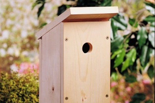 Best ideas about DIY Birdhouse Plans
. Save or Pin e Board DIY Birdhouse Now.