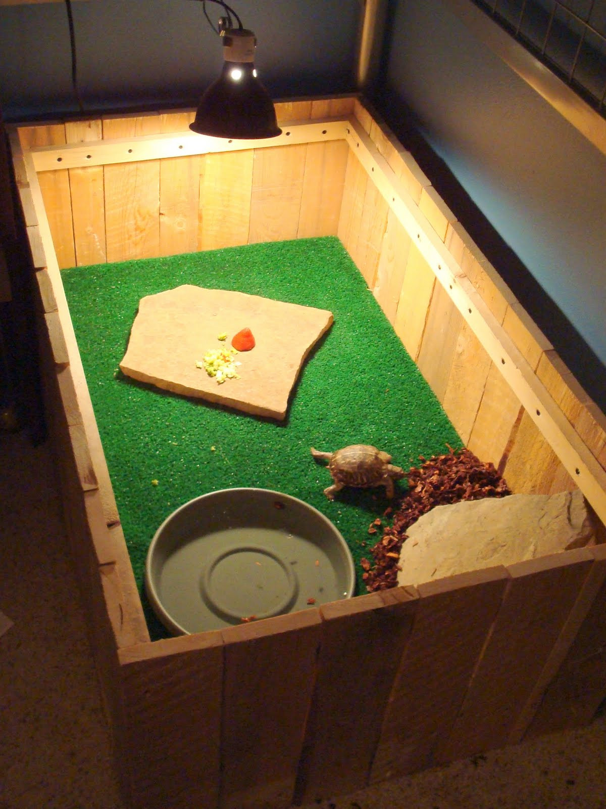 Best ideas about DIY Box Turtle Habitat
. Save or Pin Calico Road Indoor Box Turtle Habitat Now.