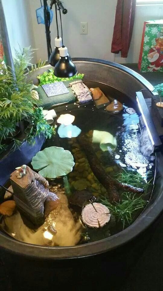 Best ideas about DIY Box Turtle Habitat
. Save or Pin Turtle tank … Now.