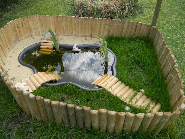 Best ideas about DIY Box Turtle Habitat
. Save or Pin Best 25 Turtle habitat ideas on Pinterest Now.