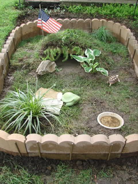 Best ideas about DIY Box Turtle Habitat
. Save or Pin Tortoise Enclosure on Pinterest Now.