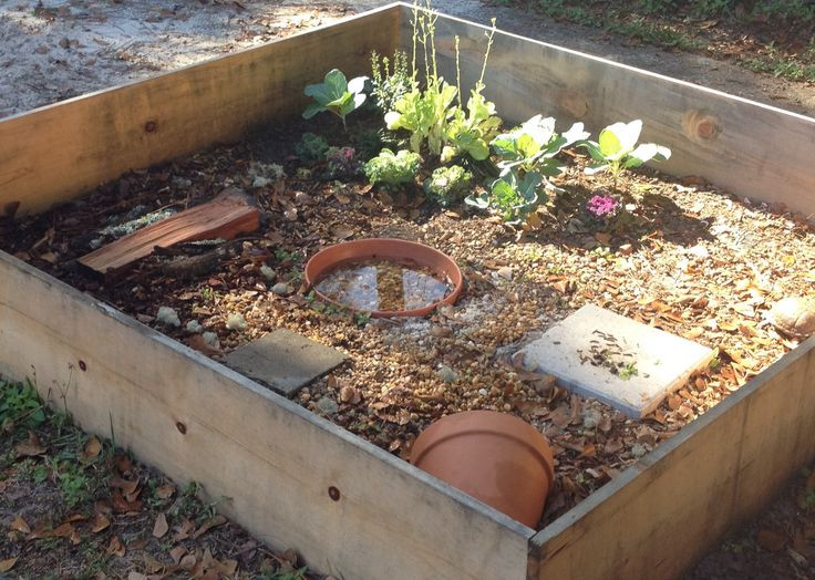 Best ideas about DIY Box Turtle Habitat
. Save or Pin Best 20 Turtle Enclosure ideas on Pinterest Now.