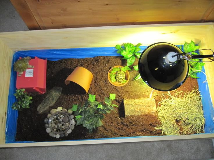 Best ideas about DIY Box Turtle Habitat
. Save or Pin Turtle habitat Diy Pinterest Now.