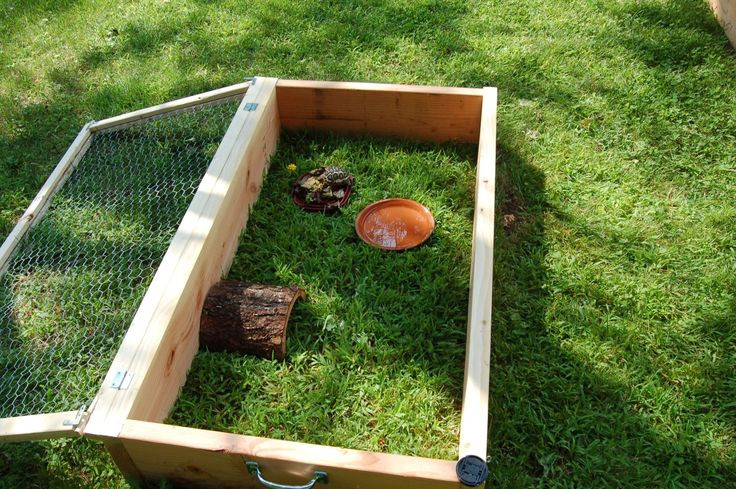 Best ideas about DIY Box Turtle Habitat
. Save or Pin Best 25 Outdoor tortoise enclosure ideas on Pinterest Now.