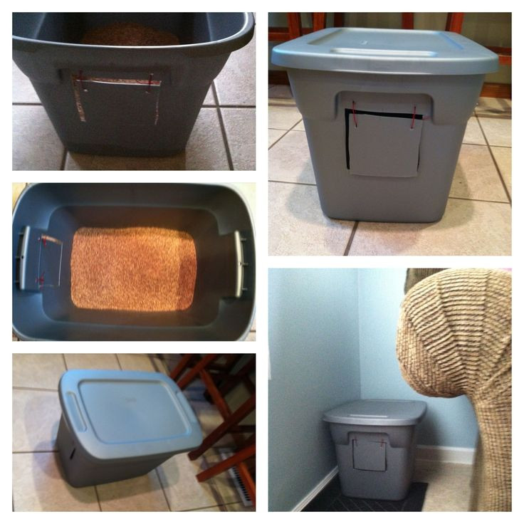 Best ideas about DIY Cat Boxes
. Save or Pin DIY cat litter box Just draw the square & holes then use Now.