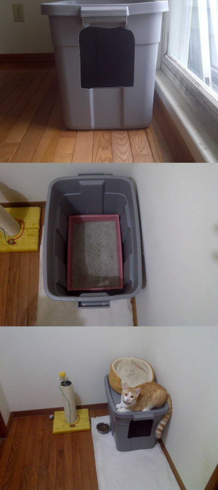 Best ideas about DIY Cat Boxes
. Save or Pin 318 best DIY Cat Projects images on Pinterest Now.