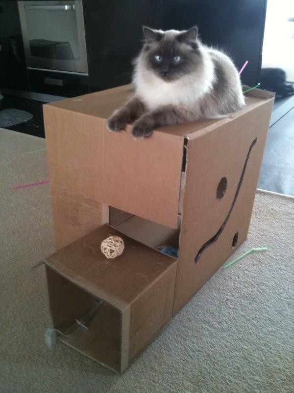 Best ideas about DIY Cat Boxes
. Save or Pin DIY cat toy ideas Now.