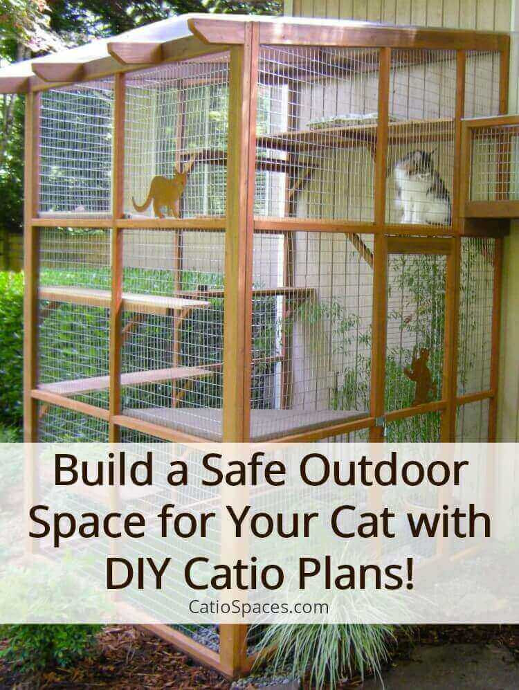 Best ideas about DIY Cat Enclosures Plans
. Save or Pin It’s Easy to Build a DIY Catio for Your Cat Catio Spaces Now.