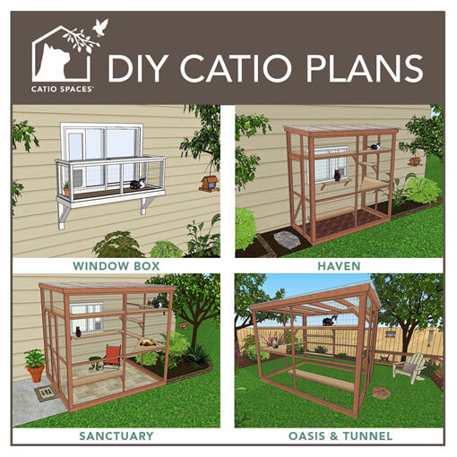 Best ideas about DIY Cat Enclosures Plans
. Save or Pin It’s Easy to Build a DIY Catio for Your Cat Catio Spaces Now.