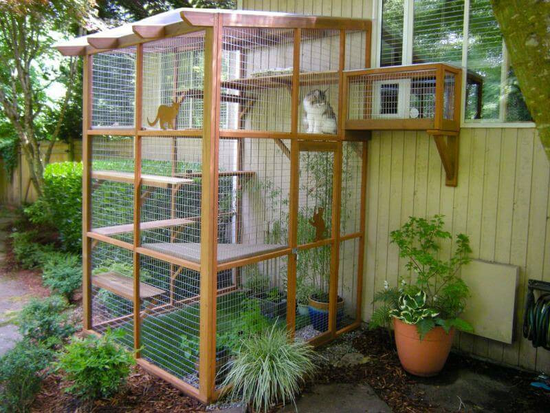 Best ideas about DIY Cat Enclosures Plans
. Save or Pin It’s Easy to Build a DIY Catio for Your Cat Catio Spaces Now.