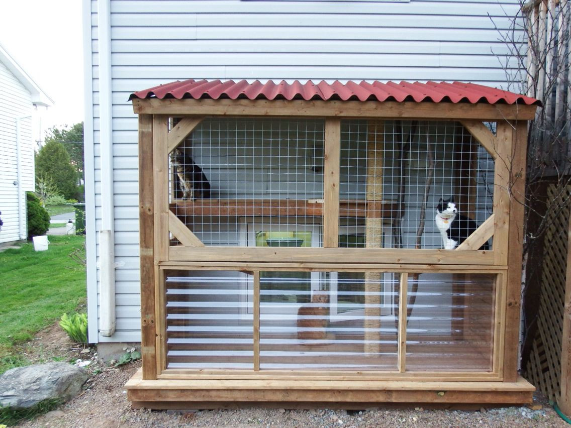 Best ideas about DIY Cat Enclosures Plans
. Save or Pin Our DIY catio Cat condo Now.