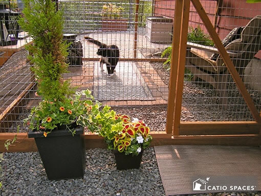 Best ideas about DIY Cat Enclosures Plans
. Save or Pin DIY Catio Plan The Sanctuary™ Catio Plans with 6x8 and Now.