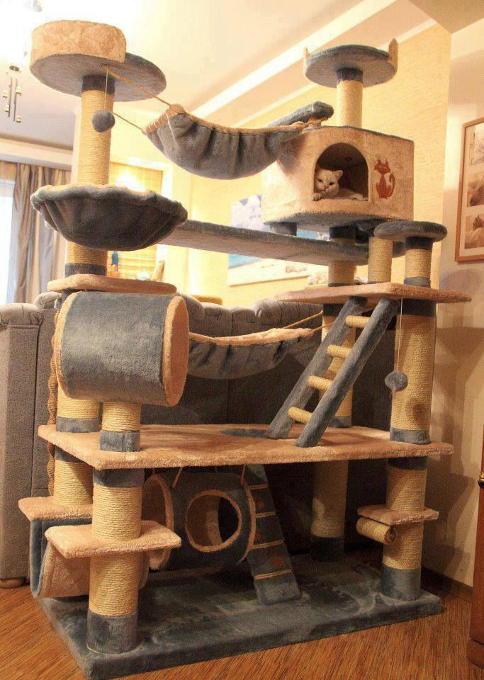 Best ideas about DIY Cat Tower Plans
. Save or Pin 25 best ideas about Diy cat tree on Pinterest Now.