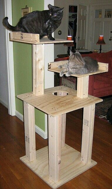 Best ideas about DIY Cat Tower Plans
. Save or Pin Casa para gatos Casa soñada Pinterest Now.