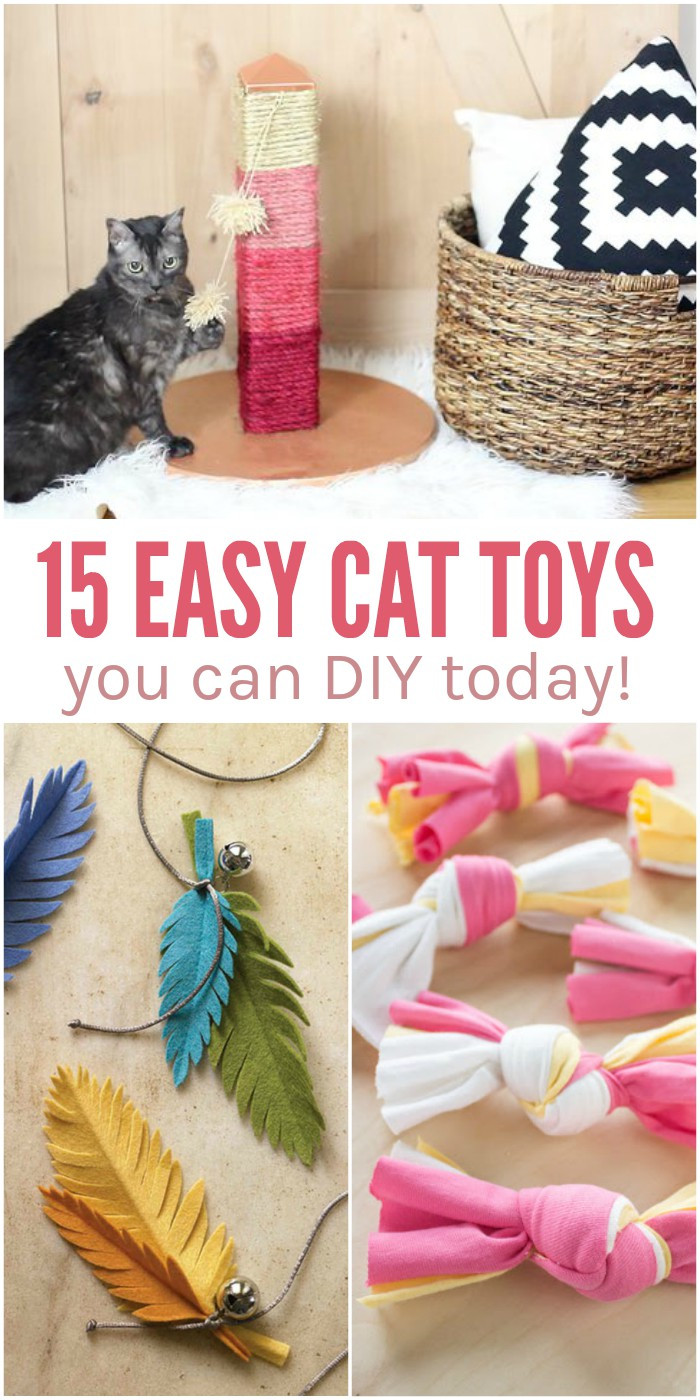 Best ideas about DIY Cat Toys
. Save or Pin 15 Easy DIY Cat Toys You Can Make for Your Kitty TODAY Now.
