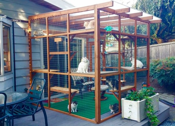 Best ideas about DIY Catio Plans
. Save or Pin Catios Can Be Built in Three Hours or Less and Let Your Now.