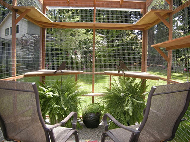 Best ideas about DIY Catio Plans
. Save or Pin DIY Catio Plans for Tripawds Give Peace of Mind Now.