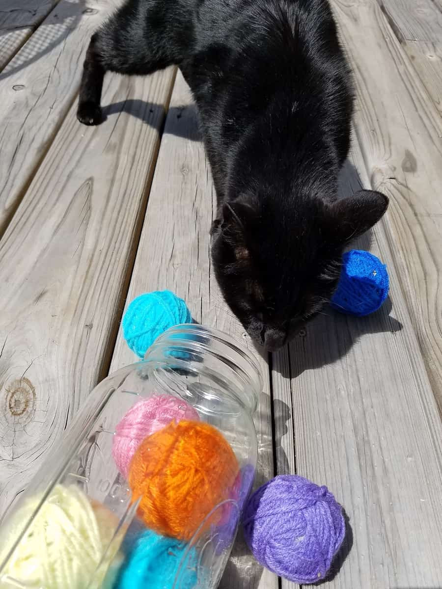 Best ideas about DIY Catnip Toys
. Save or Pin How to Make an Easy Homemade Cat Toy No Sewing No Knitting Now.