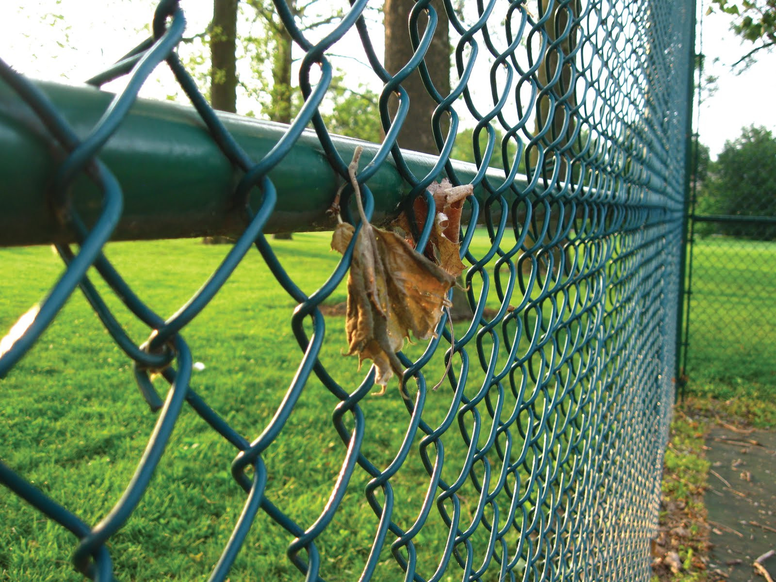 Best ideas about DIY Chain Link Fence
. Save or Pin Good Diy Chain Link Fence — Design & Ideas How to Repair Now.