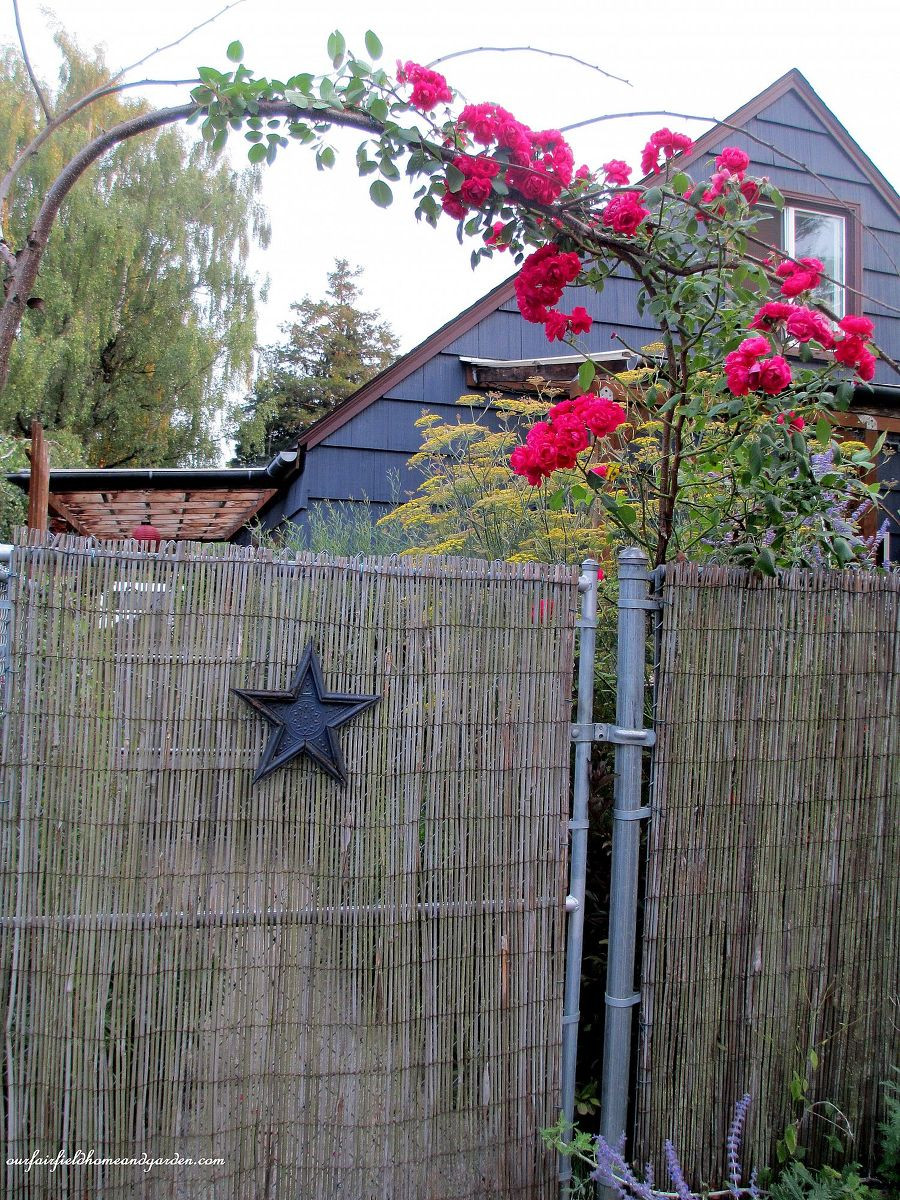 Best ideas about DIY Chain Link Fence
. Save or Pin Hometalk Now.