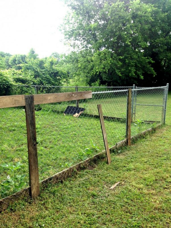 Best ideas about DIY Chain Link Fence
. Save or Pin 27 Cheap DIY Fence Ideas for Your Garden Privacy or Now.