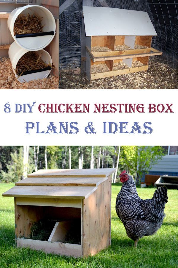 Best ideas about DIY Chicken Nest Box
. Save or Pin 25 best ideas about Chicken nesting boxes on Pinterest Now.