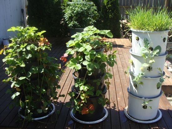 Best ideas about DIY Container Gardens
. Save or Pin 30 Inspiring and Creative Vertical Gardening Ideas That Now.