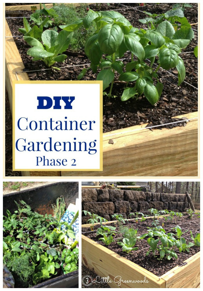 Best ideas about DIY Container Gardens
. Save or Pin DIY Container Garden Planning and Planting Now.