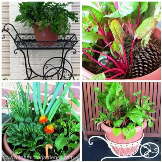 Best ideas about DIY Container Gardens
. Save or Pin Fast Food DIY Instant Veggie Garden Part 2 The Micro Now.