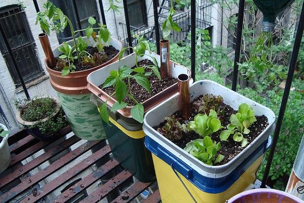 Best ideas about DIY Container Gardens
. Save or Pin 14 Best DIY Self Watering Container Garden Ideas Now.