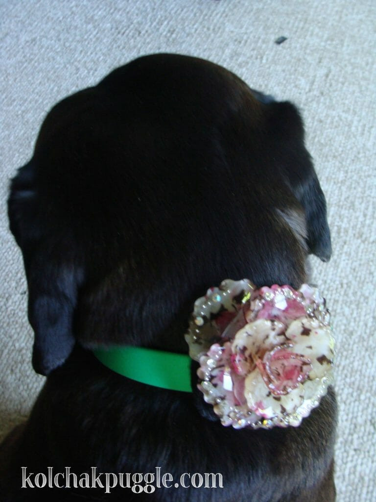 Best ideas about DIY Dog Accessories
. Save or Pin Ridiculously Easy DIY Dog Collar Accessories Kol s Notes Now.