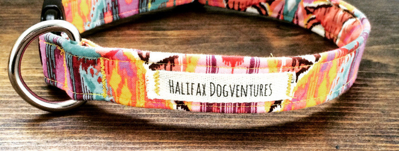 Best ideas about DIY Dog Accessories
. Save or Pin DIY Adjustable Dog Collar Tutorial – Halifax Dogventures Now.