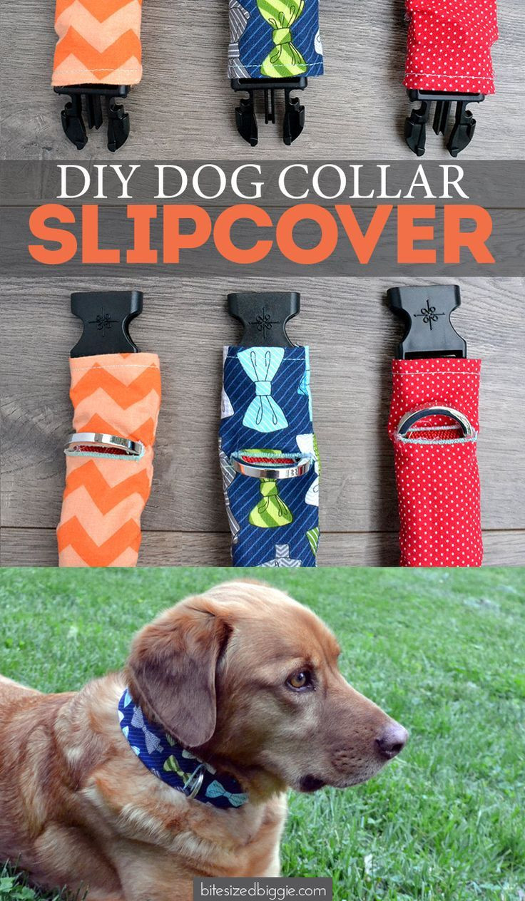 Best ideas about DIY Dog Accessories
. Save or Pin Best 25 Diy dog collar ideas on Pinterest Now.