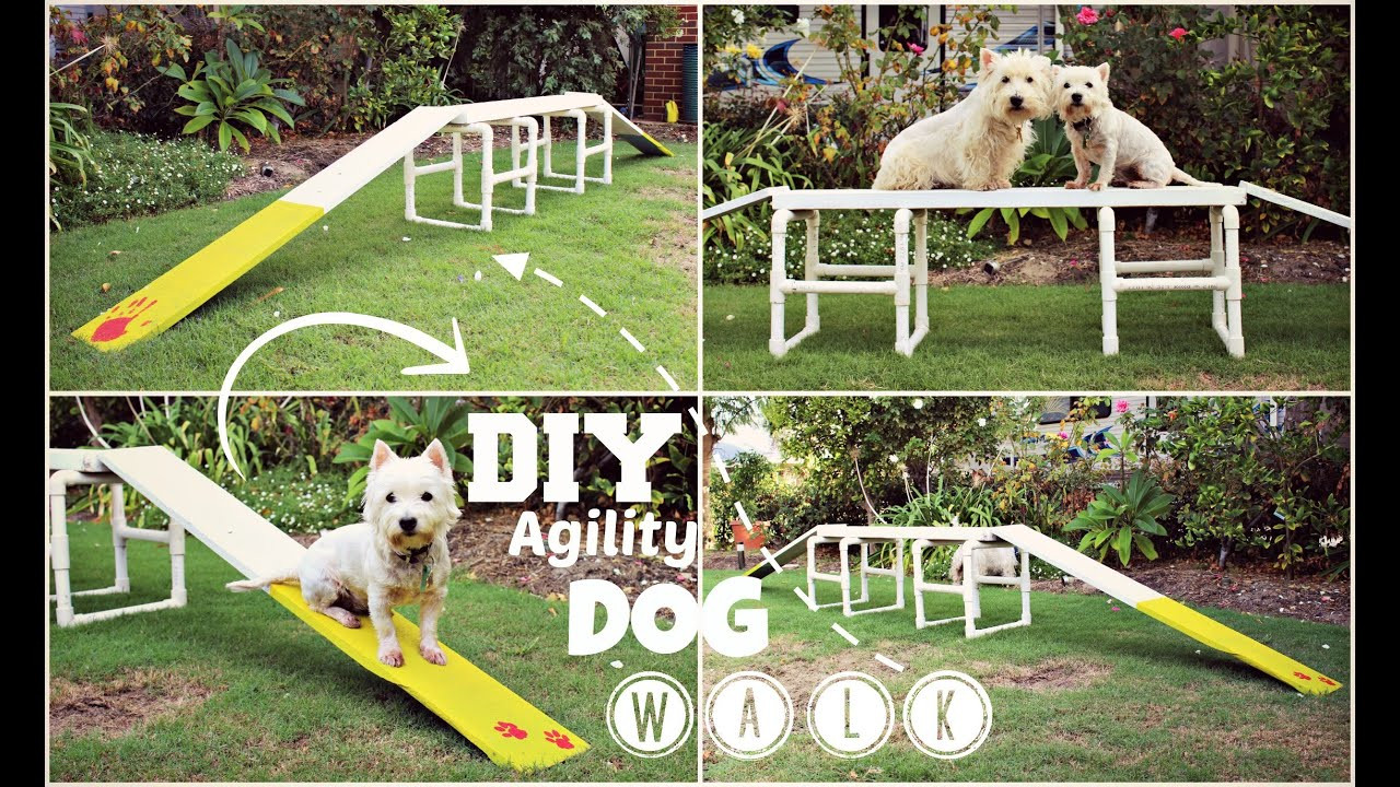 Best ideas about DIY Dog Agility Course
. Save or Pin How To DIY Agility Dog Walk Now.