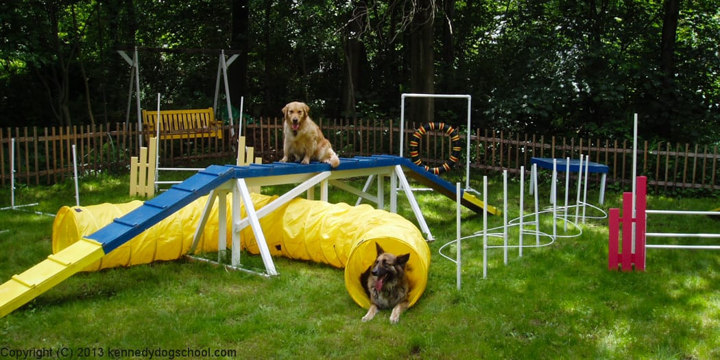 Best ideas about DIY Dog Agility Course
. Save or Pin 18 Simple And Sweet Ways To Rediscover Your Childhood With Now.