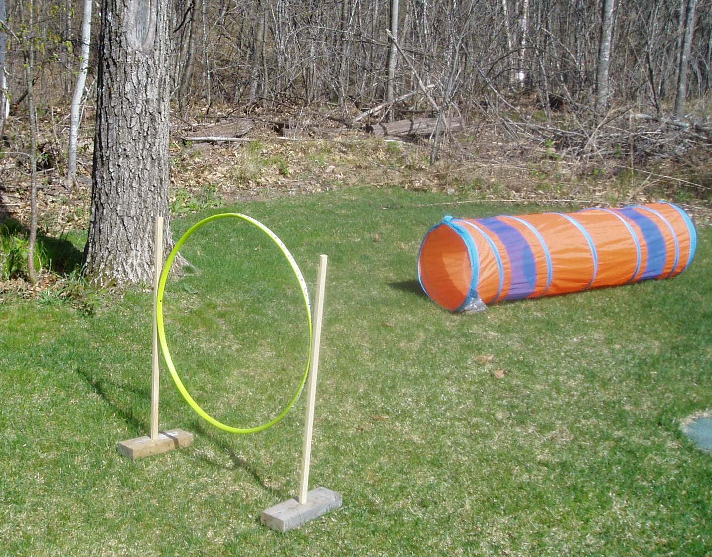Best ideas about DIY Dog Agility Course
. Save or Pin DIY Agility Course Now.
