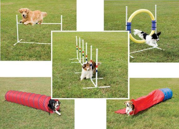 Best ideas about DIY Dog Agility Course
. Save or Pin 1000 ideas about Dog Agility on Pinterest Now.