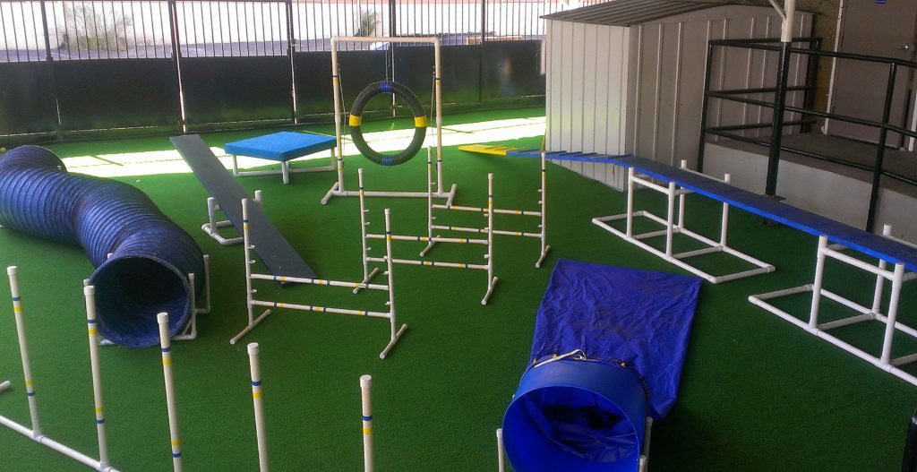 Best ideas about DIY Dog Agility Course
. Save or Pin Canine Sports How to Build a Backyard Agility Course Now.