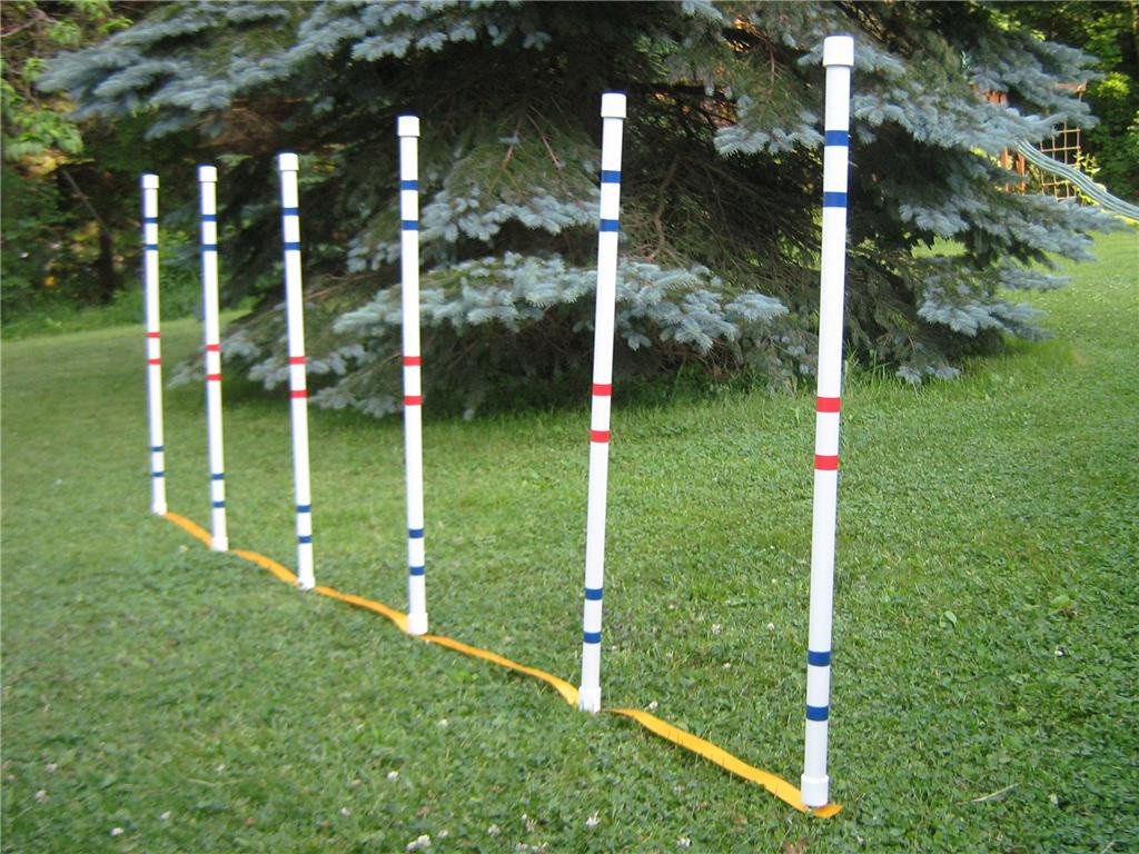 Best ideas about DIY Dog Agility Equipment
. Save or Pin Sponsor Wel e Dog Agility Shop Now.
