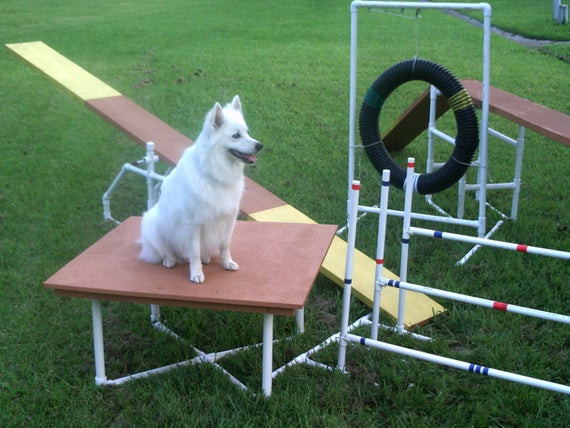 Best ideas about DIY Dog Agility Equipment
. Save or Pin Dog Agility Equipment Construction Instruction Booklet Now.