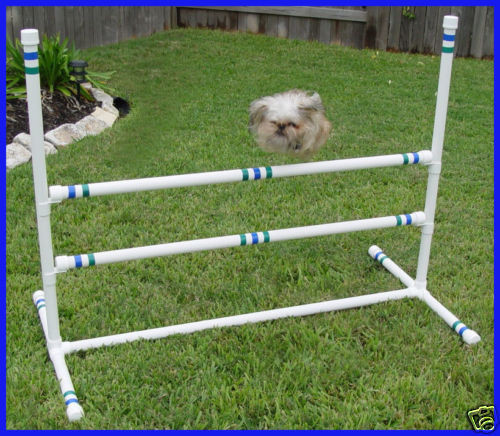 Best ideas about DIY Dog Agility Jumps
. Save or Pin NEW DOUBLE CROSSBAR SINGLE JUMP DOG AGILITY EQUIPMENT Now.
