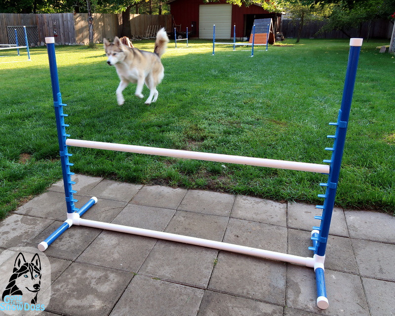 Best ideas about DIY Dog Agility Jumps
. Save or Pin DIY Build Your Own Agility Jumps for Backyard Fun Gone Now.