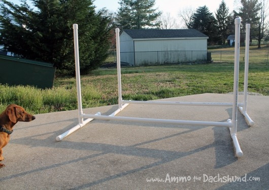 Best ideas about DIY Dog Agility Jumps
. Save or Pin DIY Build Your Own Agility Jumps Now.