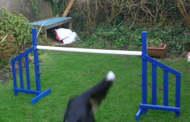 Best ideas about DIY Dog Agility Jumps
. Save or Pin Simple jump wings DIY Dog Agility Course Now.