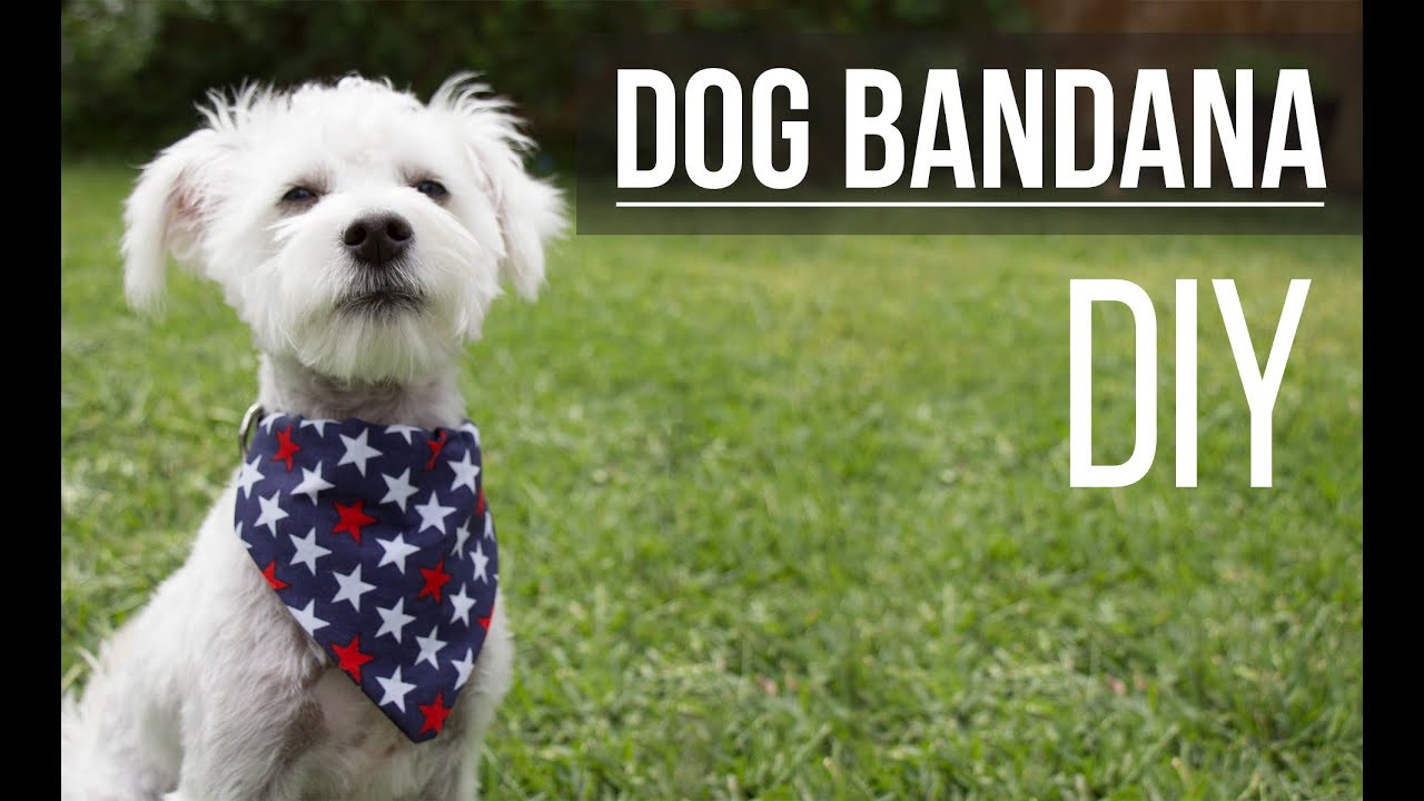 Best ideas about DIY Dog Bandana
. Save or Pin DIY Dog Bandana Bandana de Mascota Now.